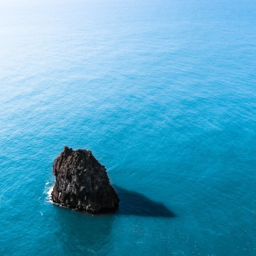 Meet your Posher, Aunjanue